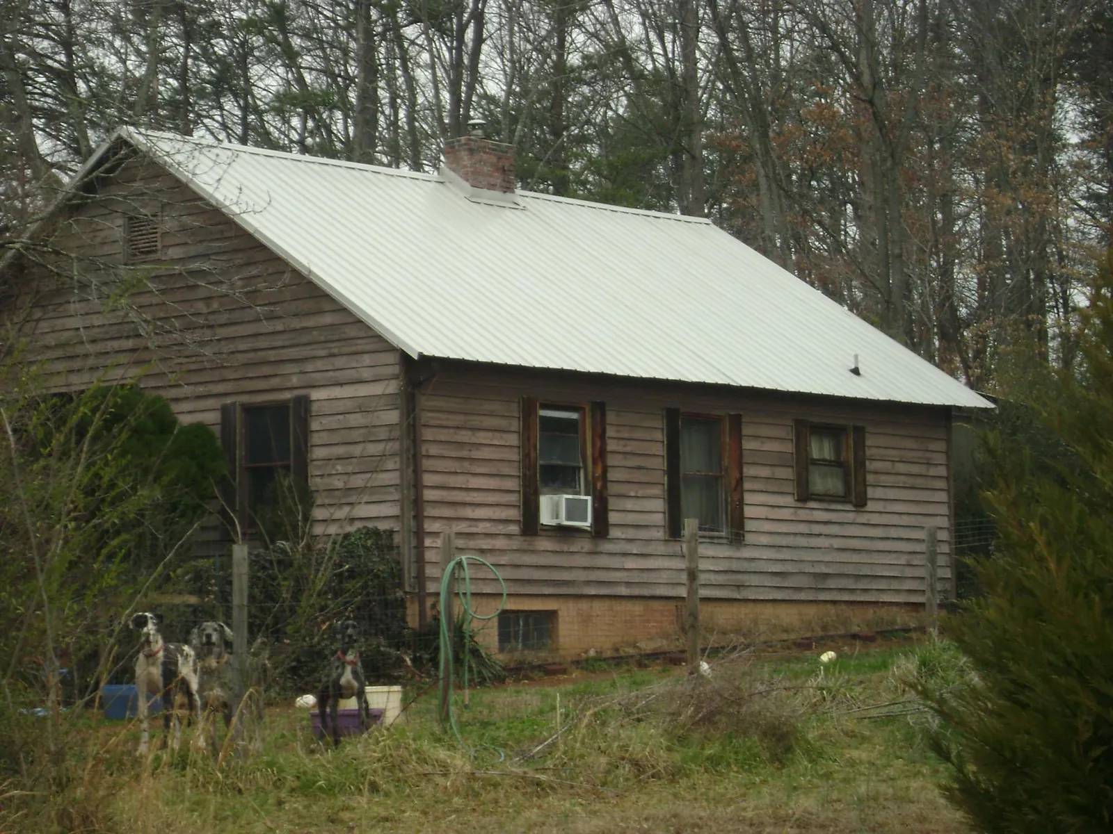 White metal roof on an old wood sided farmhouse, from a Asphalt Shingle Roof Repair job in Velma